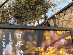 -西安大兴善寺