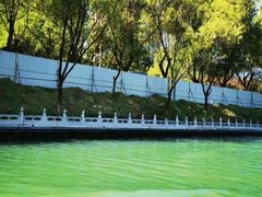 -皇家御河游(紫御湾码头)