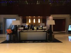 -苏州金鸡湖大酒店