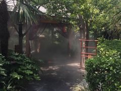 -西安国际创新人才交流中心•药浴温泉