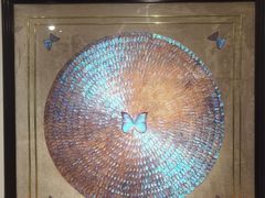 -上海昆虫博物馆