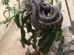 -荔城生鲜盛宴(番禺旗舰店)