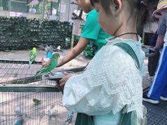 -史努比缤纷世界
