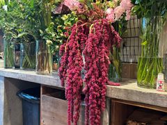 -自由生长植物工作室(深港花卉中心店)