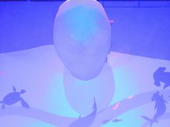 -北戴河圣蓝海洋公园