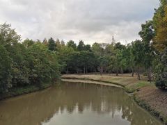 -上海海湾国家森林公园