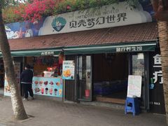 -贝壳梦幻世界