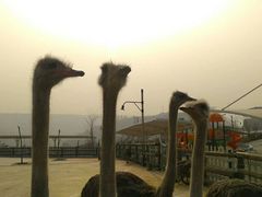-白鹿原影视城