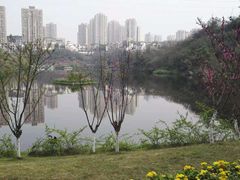 -重庆彩云湖湿地公园