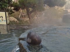 -溧阳天目湖天沐温泉