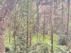 -水濂山森林公园