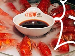 -红盔甲·小龙虾(天钥桥店)