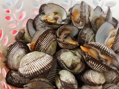 -秦皇岛海阳农副产品批发市场