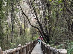 -秦岭终南山世界地质公园翠华山景区