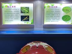 -上海昆虫博物馆