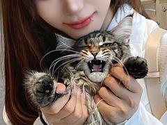 -飞行喵MR PILOT|猫舍·猫咖(静安大融城店)