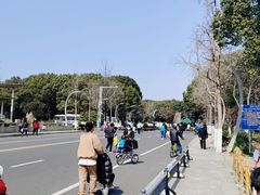 -昆山城市生态森林公园