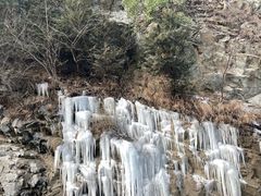 -黑河国家森林公园