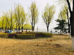 -青龙湖公园
