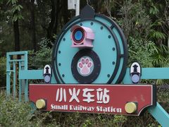 -成都松鼠部落