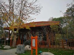 -思念果岭悦温泉