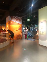 -北京科学中心儿童乐园