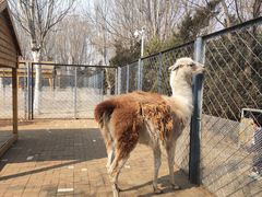 -长白岛森林公园