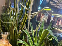 -隅乐胡椒虾·台湾菜·团建(皇岗店)