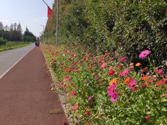 -上海长兴岛郊野公园