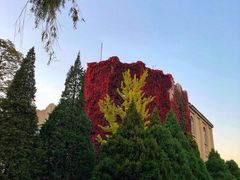 -辽宁大学(崇山校区)