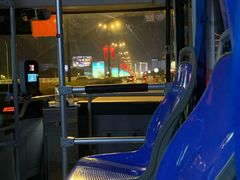 -跃跃鸡肠面(人民北路店)
