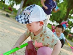 -瑶湖郊野森林公园
