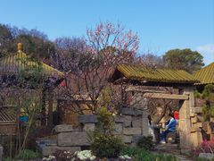 -无锡梅园公园