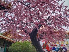 -珠海圆明新园