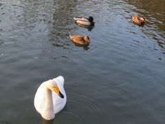 -朝阳公园