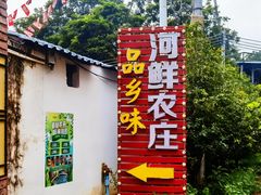 -盛得农家美食·无花果浸鸡·古法烧鸡·竹筒饭(白水寨森林海店)