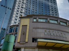 -成都泰合国际大饭店(春熙路太古里店)