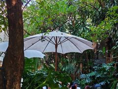 -Fern Forest Cafe