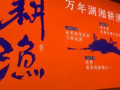 -耕渔小院·湖南鱼鲜(望城店)