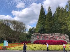 -东平国家森林公园