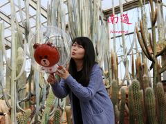 -南通洲际绿博园