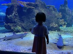 -江和美海洋公园