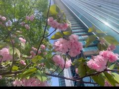 -苏州现代传媒广场商业