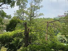 -广州雕塑公园