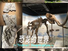 -辽宁古生物博物馆