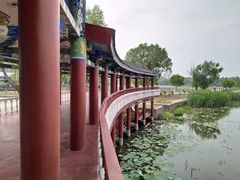 -洪湖生态旅游区