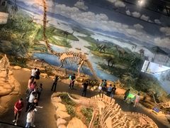 -自贡恐龙博物馆