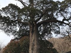 -青岛崂山太清宫