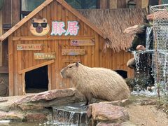 -郑州银基黄帝宫御温泉