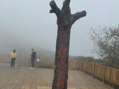 -野三坡百草畔景区
